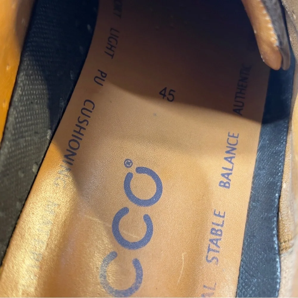 Ecco minimal signs